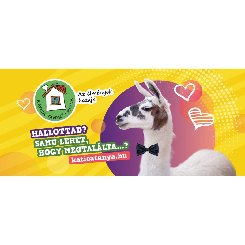 Samu, a láma feleséget keres 82